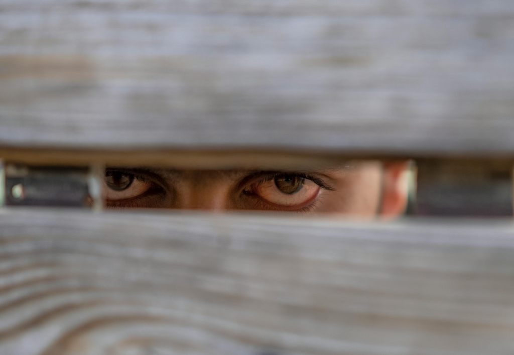 The Silence Behind the Code: What the “Beast System” Really Reflects